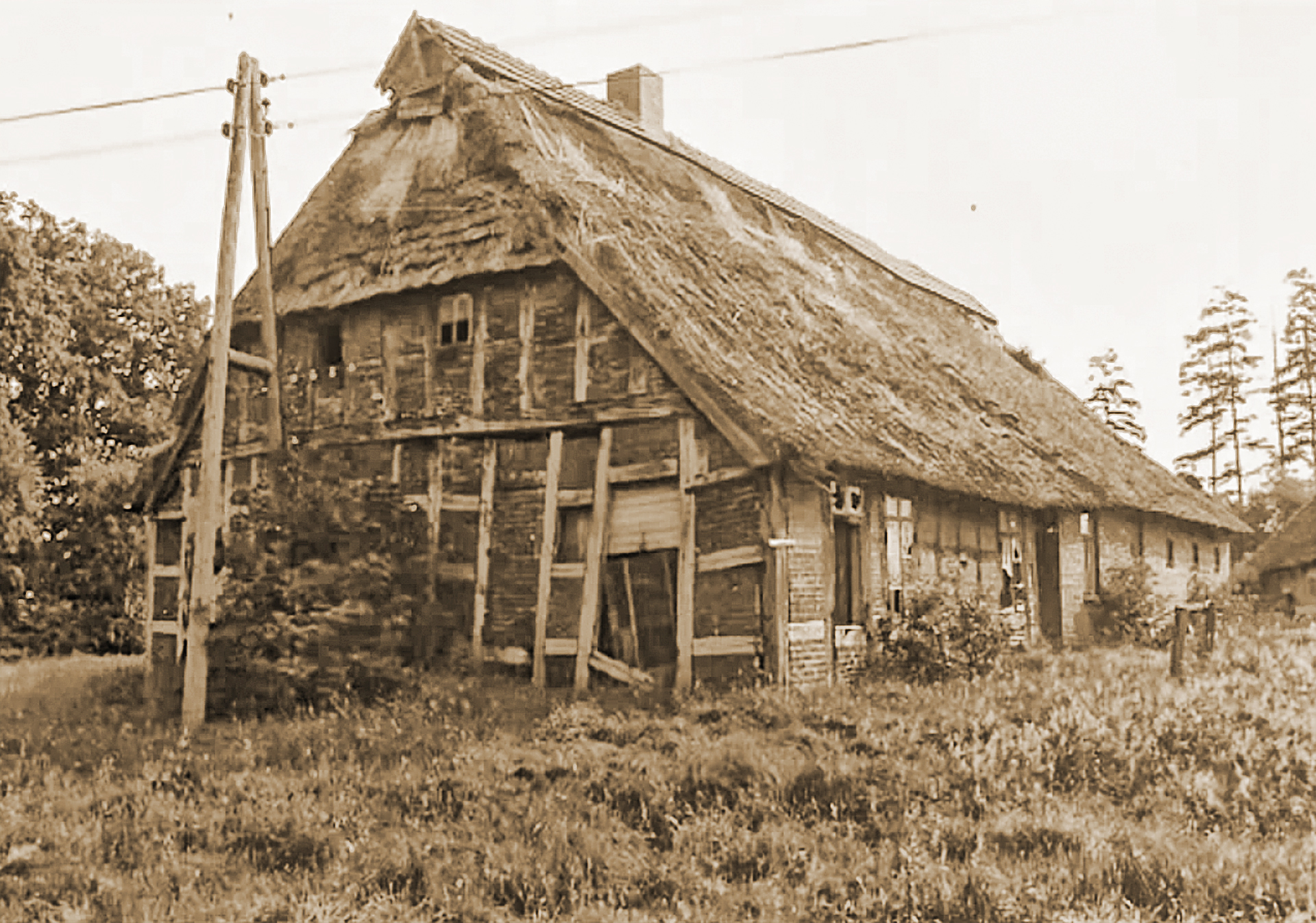 Ferienhaus Schmalenbeck - Hauschronik